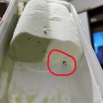 Dondurmanın İçinden Plastik Çıktı, Müşteri Hizmetleri Yanıtsız Kaldı