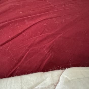 Yün Yatak Pedi Sürekli Tüyleniyor, Para İadem Yapılmıyor!