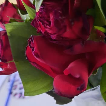 Teslim Edilen Güller Solmuş Ve Taze Değildi, Mağduriyet Yaşıyorum