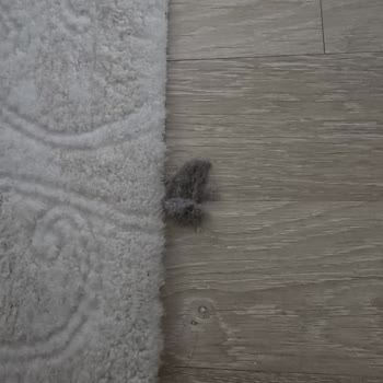 Vatan Bilgisayar’dan Aldığım Arızalı Süpürge İçin Çözüm Bulamıyorum: Mağduriyetim Devam Ediyor