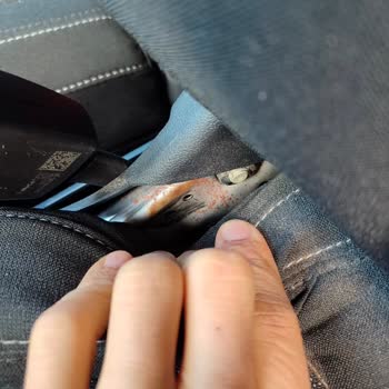 Yeni Araçta Koltukta Paslanma Ve Garanti Kapsamında Çözüm Sunulmaması