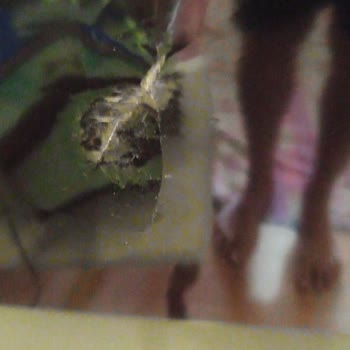 Depremzede Olarak Samsung Servisten Adil İnceleme Ve Çözüm Bekliyorum