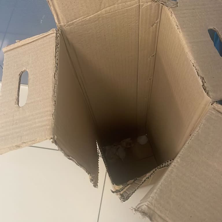 Gecikmeli Ve Bozulmuş Çiçek Teslimatı Sonrası İade Talebi