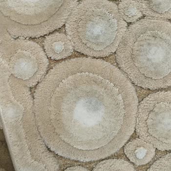 Halı Yıkama Sonrası Lekeler Çıkmadı, Mağduriyetim Giderilmedi