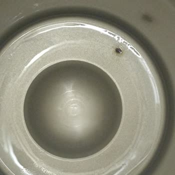 Stanley Termosun Paslanması Ve Garanti Sürecinde Mağduriyet