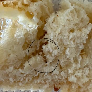 Poğaçadan Solucan Çıktı, Migros Hemen’den Geri Dönüş Yok!