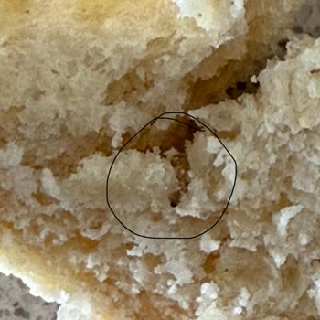 Poğaçadan Solucan Çıktı, Migros Hemen’den Geri Dönüş Yok!