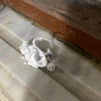 Aldığım Unda Ölü Fare Çıktı, Hijyen Ve Güven Sıfır