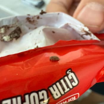 Torku Mini Gofret İçinden Böcek Çıkması Ve İade Talebi