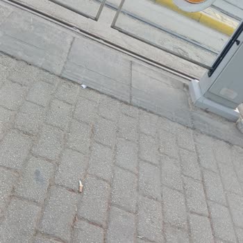 Tombakzade Tramvay Durağında Güvenlik Ve Temizlik Sorunları Büyüyor