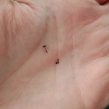 Arçelik Gurme Chef Pro: Kusurlu Ürün, Geciken Teslimat Ve İade Mağduriyeti