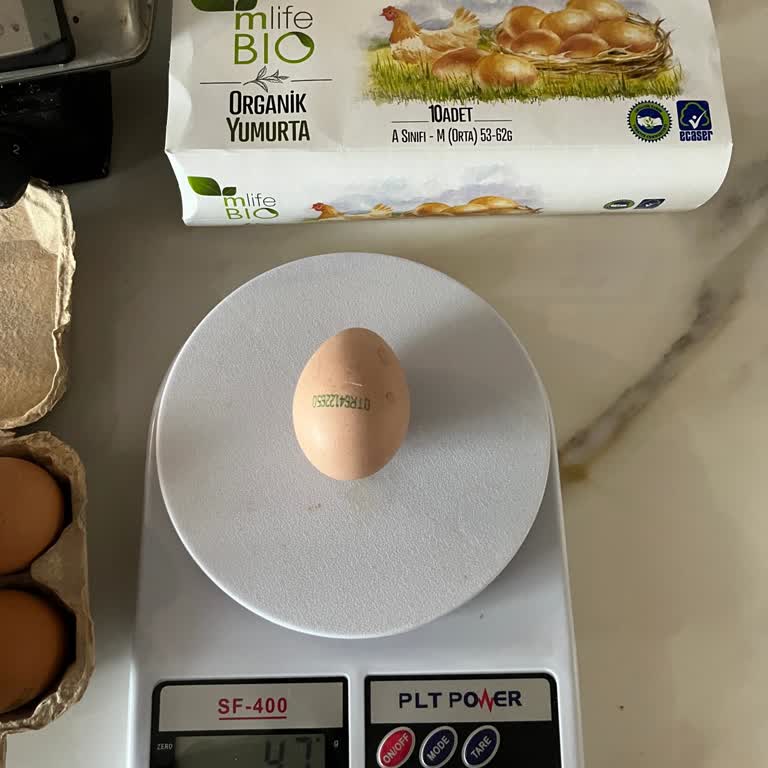 Organik Yumurtada Gramaj Eksikliği Ve Tüketiciye Aldatmaca