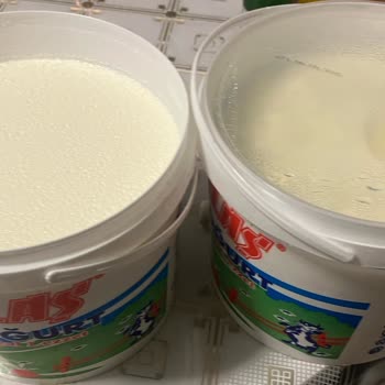 Aldığım Yoğurtlar Bozuk Çıktı, Ücret İadesi Talep Ediyorum