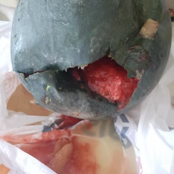 Karpuz İadesinde Yaşanan Sorun Ve İlgisiz Müşteri Hizmetleri