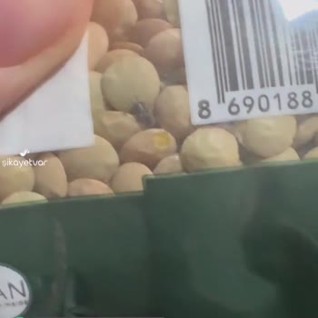 Migros Mercimekte Canlı Böcek Var