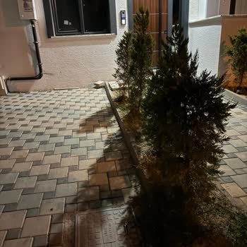 Yeni Binada Fiber Altyapı Var, Hizmet Sunulmuyor!