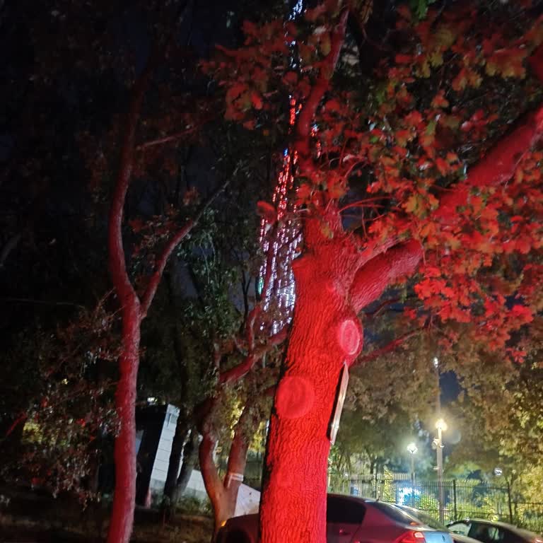 Çamlıca Kulesi Girişinde Güvenlik Görevlisi Nedeniyle Mağduriyet Yaşadım