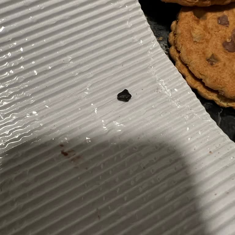 Ülker Probis Ürününde Yabancı Madde Ve Geri Dönüş Sorunu