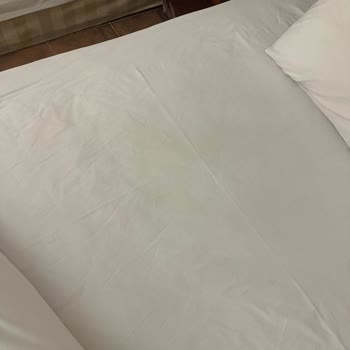 Tatilde Temizlik Sorunu Ve Ekstra Otel Masrafı Mağduriyeti