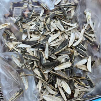 Aldığım Çekirdek Paketinden Böcek Çıktı, Hızlı Çözüm Bekliyorum