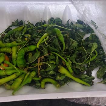 Paketli Biberde Beklenmeyen Malzeme Sorunu