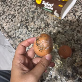 Son Kullanma Tarihi Geçmemiş Yumurtalardan Bozuk Ürün Çıkması Mağduriyet Yarattı