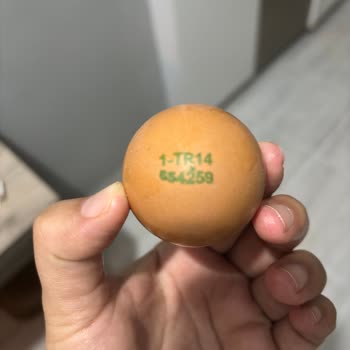 Son Kullanma Tarihi Geçmemiş Yumurtalardan Bozuk Ürün Çıkması Mağduriyet Yarattı