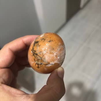 Son Kullanma Tarihi Geçmemiş Yumurtalardan Bozuk Ürün Çıkması Mağduriyet Yarattı