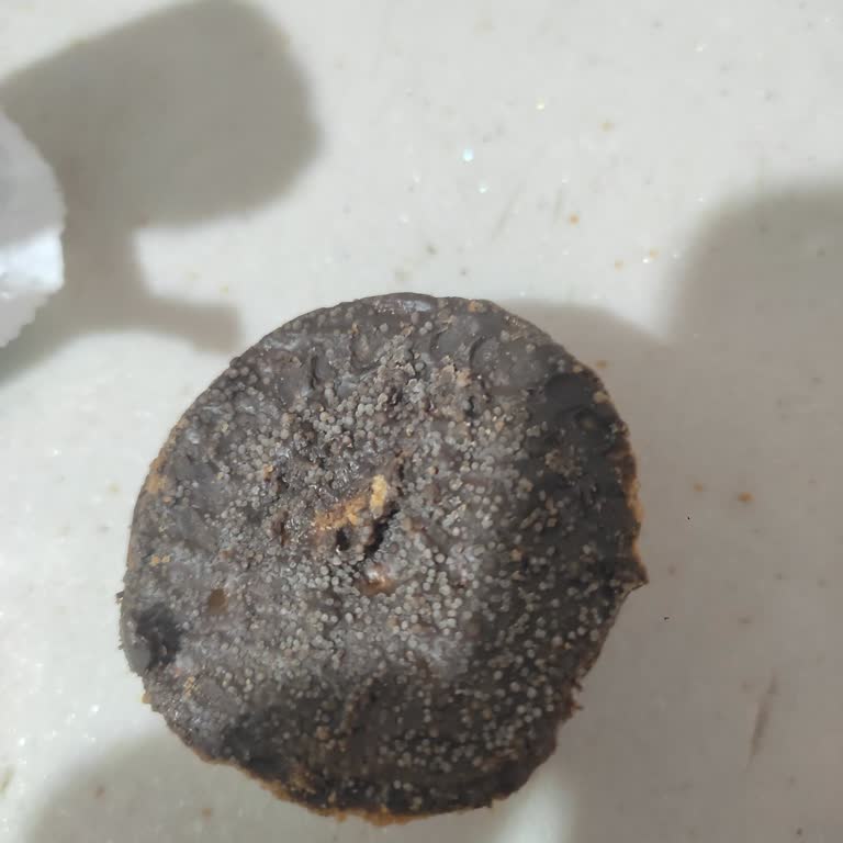 Taze Olması Gereken Bisküvide Küf Ve Renk Değişimiyle Karşılaştım