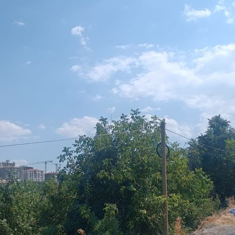 İnternet Altyapı Başvurumun 2 Yıldır Sonuçlanmaması Ve Eşitsiz Muamele