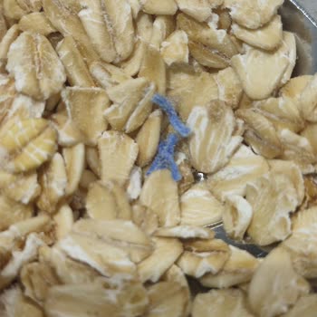 Yulaf Ezmesinde Yabancı Cisim Şoku: Ürün Değişimi Talebi