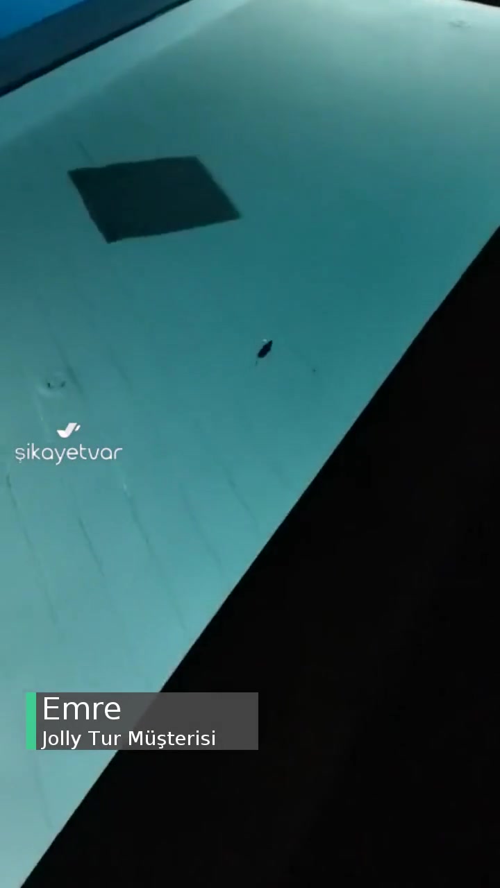 Jolly Tur'un Önerdiği Otelin Havuzunda Fare Yüzüyor videonun kapak resmi