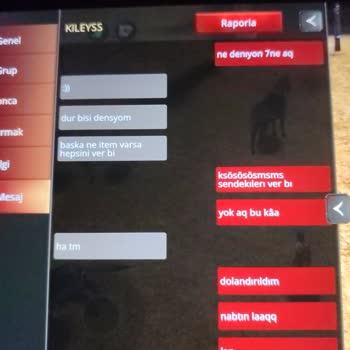 Royale Online'da Kullanıcı Adı Benzerliğiyle Eşyalarımın Kaybolması