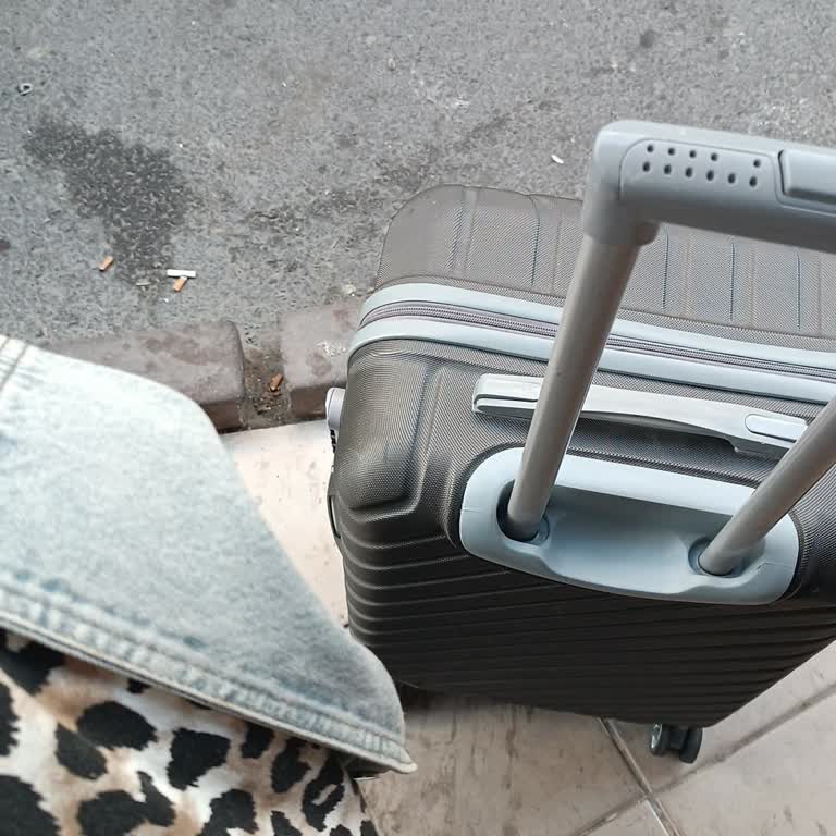 İDO Deniz Otobüsünde Valizimin Çalınması Ve Destek Alamamam!