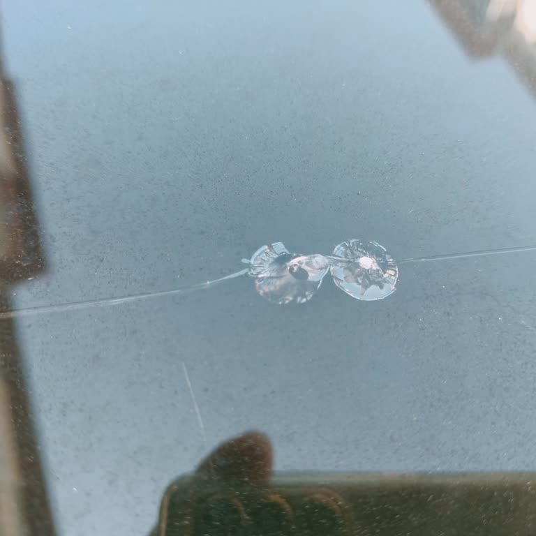 Aksigorta'nın Togg Araçlarda Cam Tavan Değişimi Ve Muafiyet Uygulaması Mağduriyeti