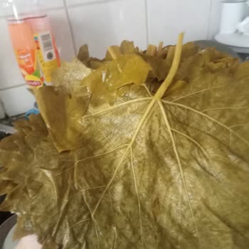 @erbaa _tadim_yaprak Yanıltıyor