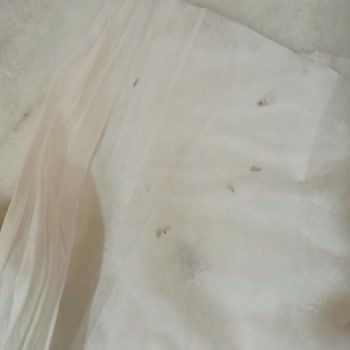 Pafilya Temizlik Havlusu'nda Yabancı Madde Ve Yetersiz Müşteri Desteği