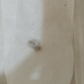 Pafilya Temizlik Havlusu'nda Yabancı Madde Ve Yetersiz Müşteri Desteği