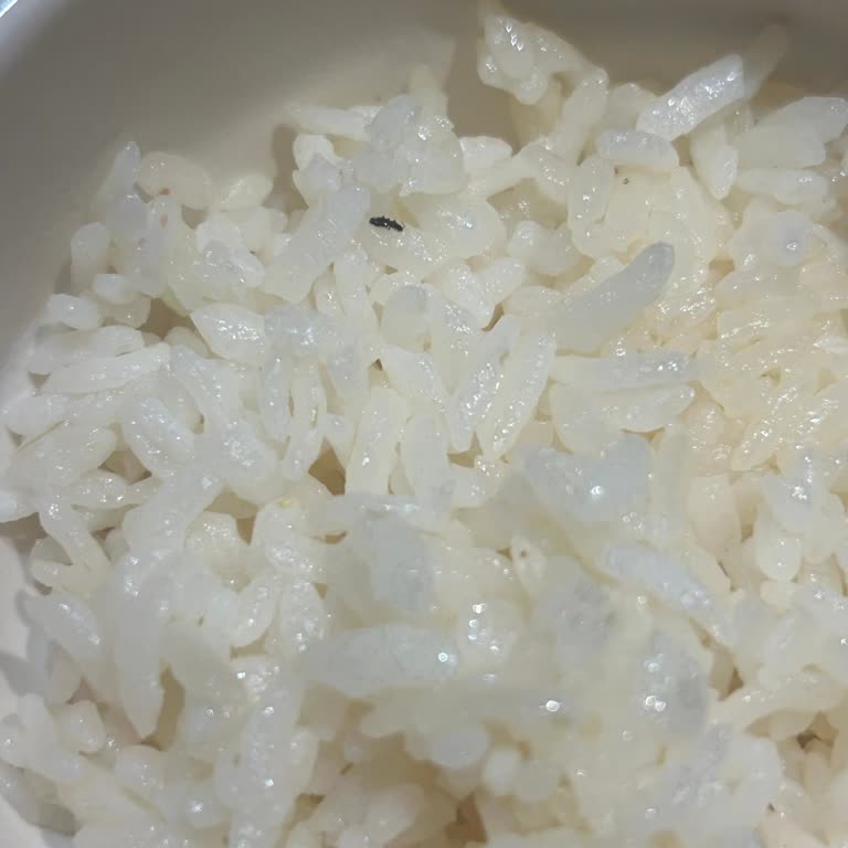 Restoranda Pilavda Böcek Çıkması Ve Yetersiz Telafi İle Tatilin Mahvolması