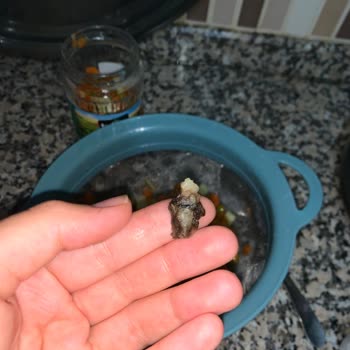 Konserve Garnitürden Böcek Çıktı Tukaş’tan Açıklama Ve Çözüm Bekliyorum