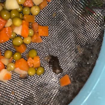 Konserve Garnitürden Böcek Çıktı Tukaş’tan Açıklama Ve Çözüm Bekliyorum