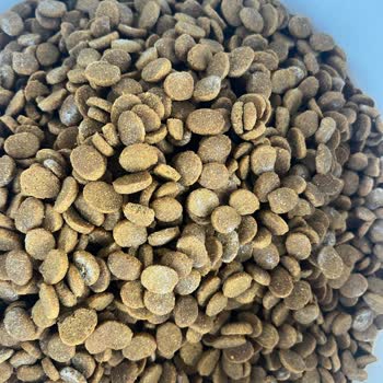 Bozuk Ve Kötü Kokulu Köpek Maması İçin Trendyol'dan Çözüm Bekliyorum