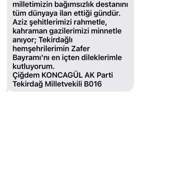 Siyasi İçerikli SMS'ler İçin Defalarca Başvurdum, Çözüm Yok!