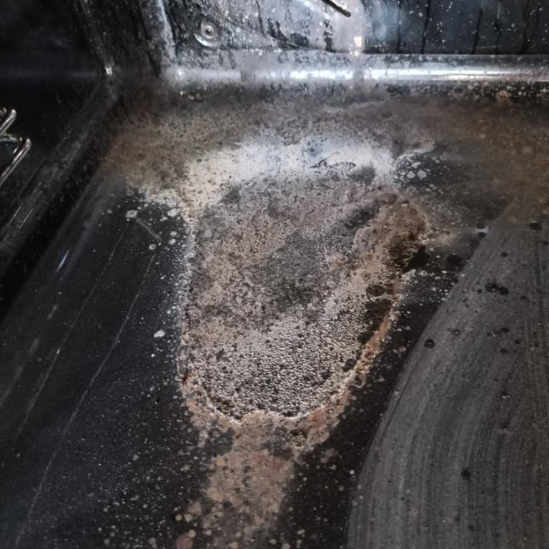 Yeni Alınan Arçelik Ankastre Fırında İlk Kullanımda Paslanma Ve Boya Atması Sorunu