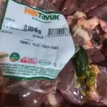 Hastavuk Yeşil Öd