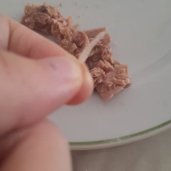 Ton Balığında Kılçık Şoku: Hijyen Sorunu Ve İade Talebim