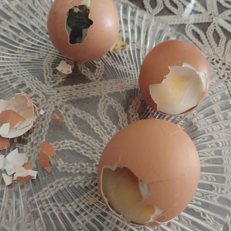 Aldığım Yumurtaların Bozuk Çıkması Mağaza Güvenimi Sarstı