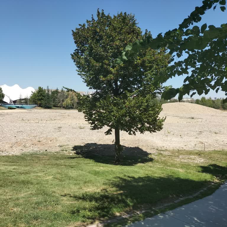 Harikalar Diyarı Parkı'nın Bakımsızlığı Ve Gölün Kurutulması Hakkında Şikayet