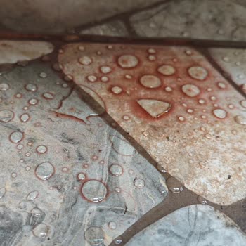 Uzun Süre Serviste Kalan Motorda Yağ Kaçağı Sorunu Ve Servis İlgisizliği