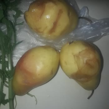 Teslim Edilen Ürünler Çürük Ve Kalitesiz Çıktı